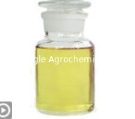 Quizalofop-P-Ethyl 5 % EC 10 % EC 20 % EC Pestizid Herbizid 100646-51-3
