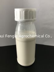 Nicosulfuron 80g/L Od, milchige weiße Flüssigkeit, breitblättriger Gras-Mörder für Mais