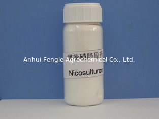 Nicosulfuron 97% TC, selektives breitblättriges körperlichUnkrautbekämpfungsmittel, elfenbeinfarbenes Pulver