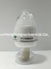 95% Tc Tribenuron Methyl- Herbizid-Pulver CAS No .101200-48-0