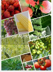 25057-89-0 agrochemisches Schädlingsbekämpfungsmittel-Herbizid Bentazone 95%TC