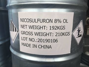 Nicosulfuron 80g/L Od, milchige weiße Flüssigkeit, breitblättriger Gras-Mörder für Mais
