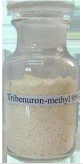 Herbizid 95% Tc Selektivherbizid Tribenuron Methyl, zum von breitblättrigen Unkräutern zu steuern