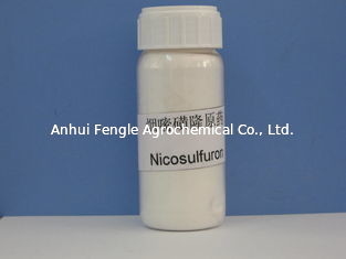 Herbizid Nicosulfuron 97% TC CAS No 111991-0904