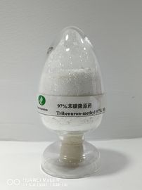 Tribenuron-methyl95%TC, landwirtschaftliches Herbizid, breite Leaved Unkraut-Posten-Auftauchen-Steuerung